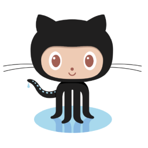 Developer